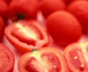 常吃西红柿的好处和坏处 经常吃西红柿的好处和坏处