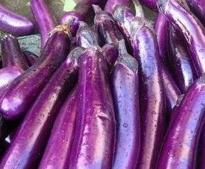 紫长茄的营养价值 紫茄子的营养价值是什么