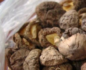 冬菇的功效与作用 冬菇的功效与作用禁忌