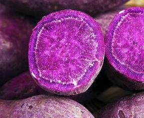 紫薯的营养价值与功效 紫薯的营养价值与功效能去黑色素吗