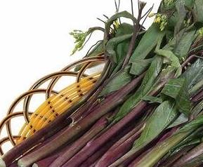 红菜苔的功效与作用 湖北红菜苔的功效与作用