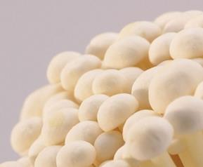 金针菇的营养价值及功效 金针菇的营养价值与功效