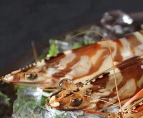 九节虾怎么做好吃 九节虾怎么做好吃又简单