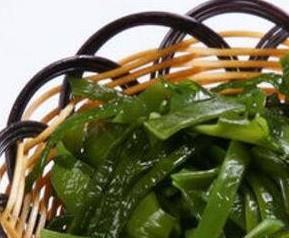 海菠菜的功效与作用 海菠菜的功效与作用及禁忌