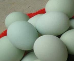乌鸡蛋的功效与作用 乌鸡蛋的功效与作用及禁忌