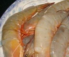 海虾的营养价值 海虾的营养价值及功效