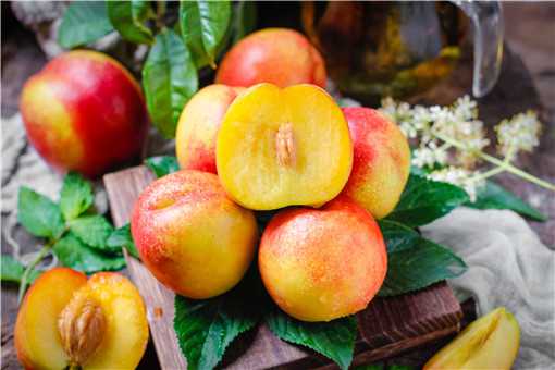 油桃是热性还是凉性水果 油桃是热性还是凉性的水果