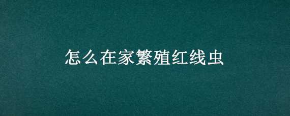 怎么在家繁殖红线虫 怎么在家繁殖红线虫视频