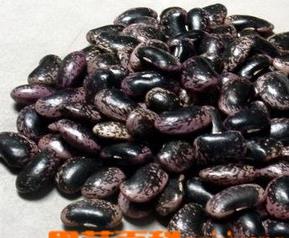 芸豆和黑豆的区别 黑豆和黑芸豆有什么区别