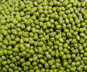 绿豆营养价值 绿豆营养价值100克