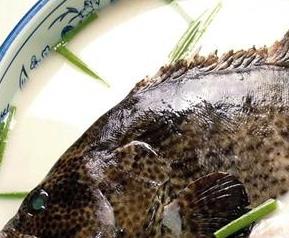 石斑鱼的营养价值 龙趸石斑鱼的营养价值