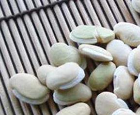 白扁豆的作用,吃白扁豆好处 常吃白扁豆的好处