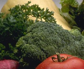 可以减肥蔬菜,哪些蔬菜可以减肥呢 可以减肥蔬菜,哪些蔬菜可以减肥