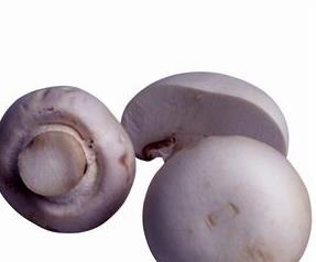 口蘑的营养价值是什么 口蘑的营养价值和保健营养