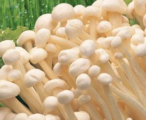 金针菇的营养价值是什么 金针菇的营养价值是什么呢