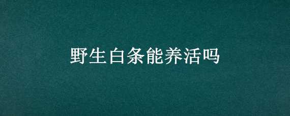 野生白条能养活吗（小白条是野生的吗）