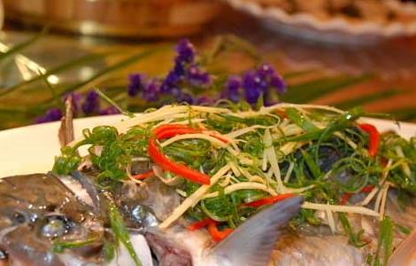 石斑鱼的营养价值 石斑鱼的营养价值与功效与作用