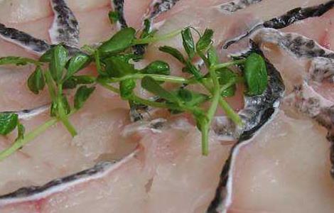青鱼的营养价值及功效与作用禁忌 青鱼的营养价值