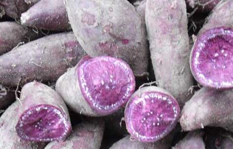 紫薯的营养价值 紫薯的营养价值高还是红薯的营养价值高