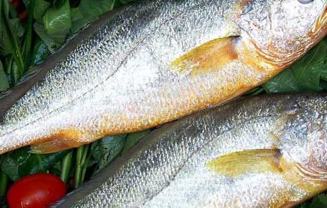 黄花鱼的营养价值 黄花鱼的营养价值及功效与作用禁忌