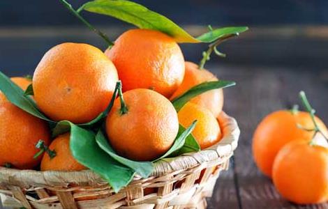 橘子吃多了会怎么样 老人吃橘子吃多了会怎么样