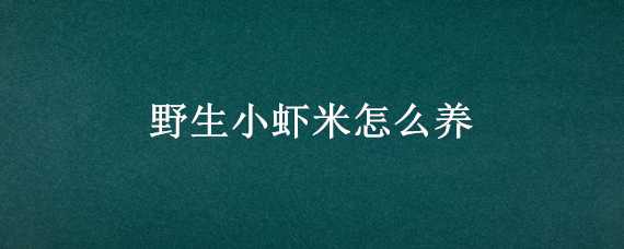 野生小虾米怎么养 野生小虾米怎么养鱼缸怎么养