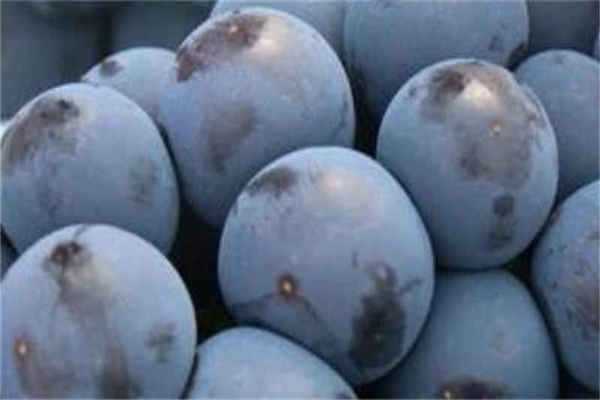 公认口感好的葡萄品种，2021种什么葡萄好