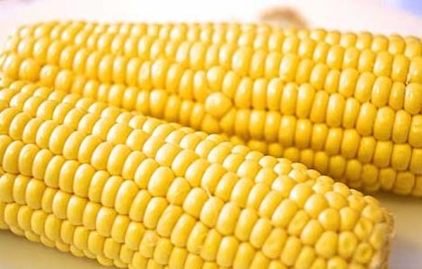 玉米的功效与作用 玉米的功效与作用与主治