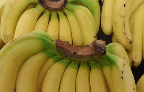 香蕉皮的功效和作用 香蕉皮的功效作用及禁忌