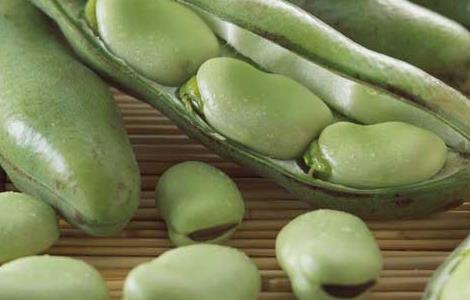 新鲜蚕豆的保存方法怎么做呀 新鲜蚕豆的保存方法