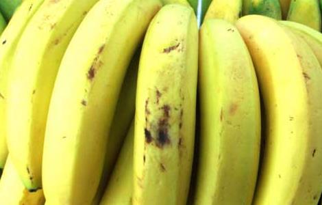 香蕉酸奶减肥方法 红枣香蕉酸奶减肥法