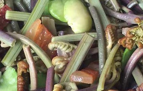 素炒蕨菜的功效及做法 素炒蕨菜的功效及做法视频