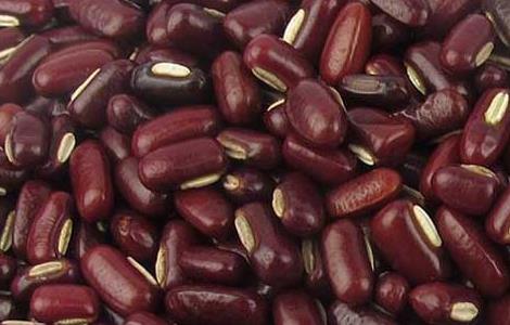 吃赤小豆能减肥吗 赤小豆可以减肥还是红豆