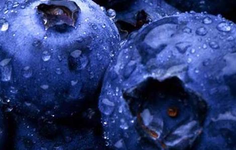 蓝莓每天吃多少合适 蓝莓每天吃多少合适?