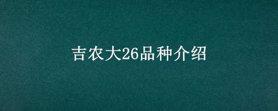 吉农大26品种介绍