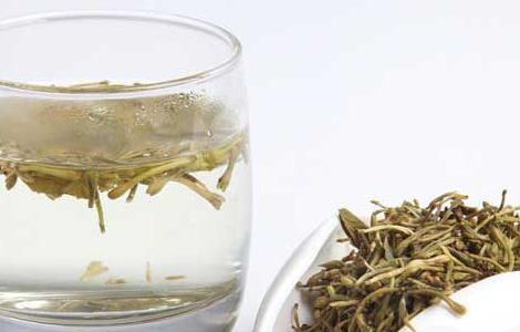 金银花茶的功效与作用 金银花茶的功效与作用及副作用