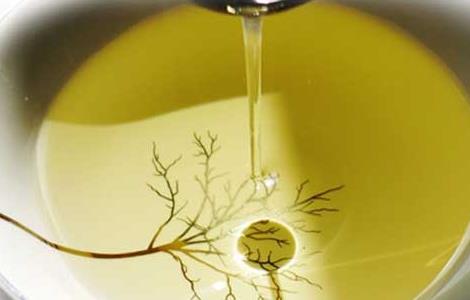 茶籽油一般多少钱一斤 茶油多少钱一斤