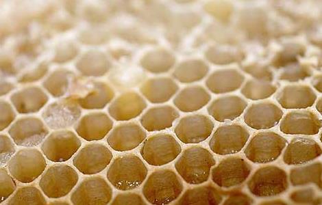 蜂巢泡酒的功效与作用是什么 蜂巢泡酒的功效与作用