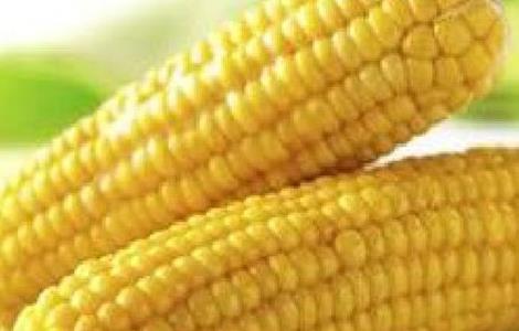 如何预防玉米高温危害的发生 如何预防玉米高温危害