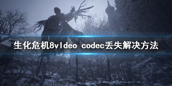 生化危机8vldeo 生化危机2重制版