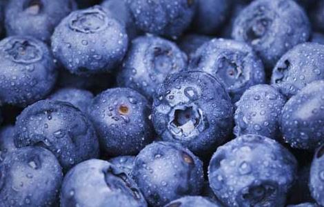 蓝莓的产地分布 蓝莓的产地是什么地方