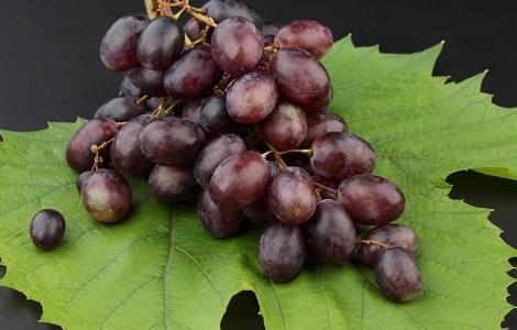 葡萄的储藏保鲜技术 葡萄的储藏和保鲜