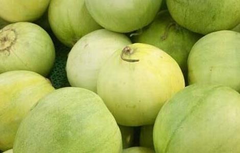 香瓜怎么种植结的瓜才多 香瓜怎么种植