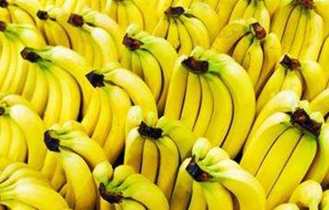 香蕉高产种植技术有哪些 香蕉高产种植技术