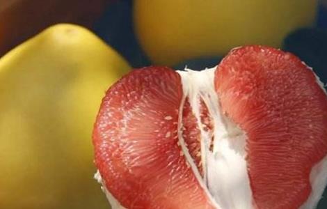 红肉蜜柚 栽培 技术