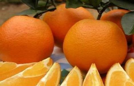 橙子的功效与作用禁忌 红心橙子的功效与作用禁忌