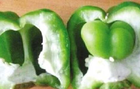 如何预防辣椒产生畸形果 甜椒畸形果原因及预防方法