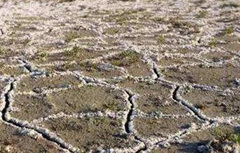 大棚土壤盐碱化原因及防治措施有哪些 大棚土壤盐碱化原因及防治措施