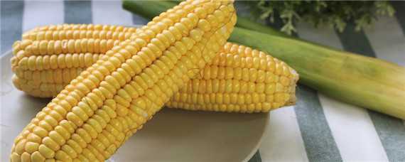 怎样种玉米