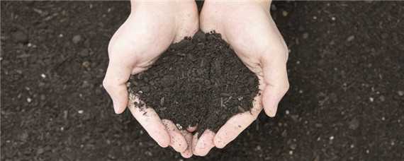 土壤含水率一般是多少 壤土土壤含水率一般有多少